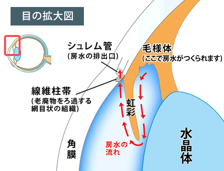 房水と眼圧について/緑内障/図