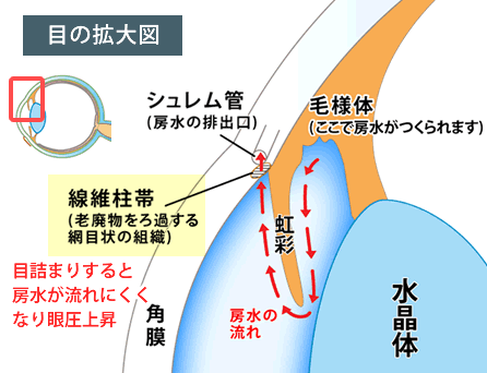 圧 原因 眼 高い 眼圧はどんなときにあがるの？高い原因はパソコン、スマホ、お酒、お風呂？