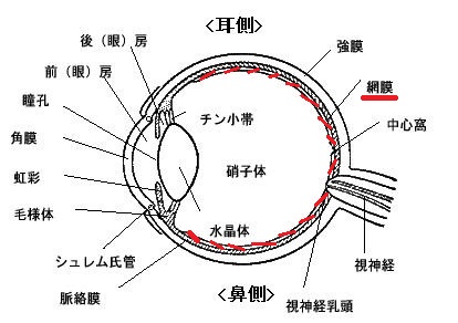 色覚異常 池袋サンシャイン通り眼科診療所