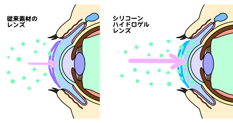 目の角膜